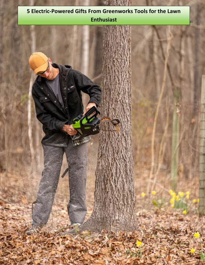 5 electric powered gifts from greenworks tools