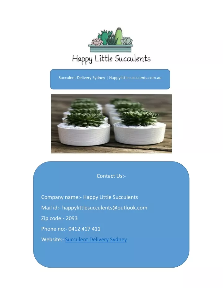 succulent delivery sydney happylittlesucculents