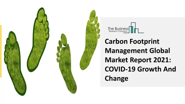 carbon footprint management global market report
