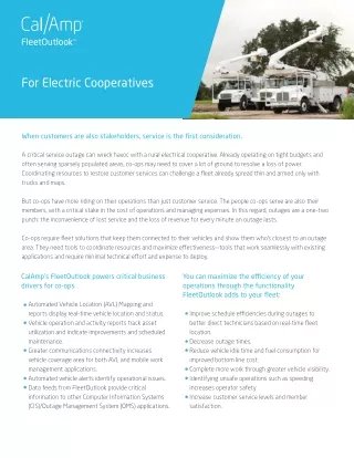 Electric Co-Op Solution