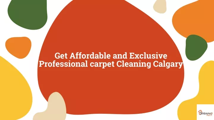 get affordable and exclusive professional carpet