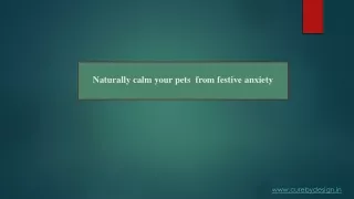 Naturally calm your pets  from festive anxiety