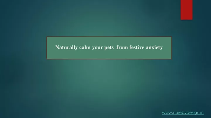 naturally calm your pets from festive anxiety