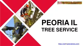 Peoriatrees - Choose the Affordable Peoria I Tree Services