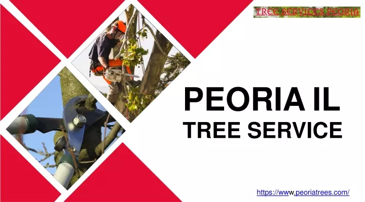 peoria il tree service