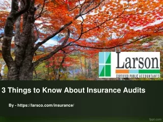 3 Things to Know About Insurance Audits