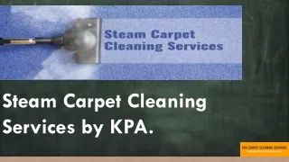 Steam Carpet Cleaning Service.