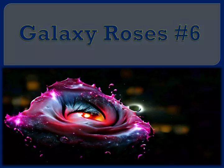 galaxy roses 6