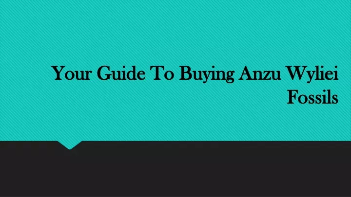 your guide to buying anzu wyliei fossils