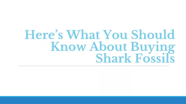 here s what you should know about buying shark fossils