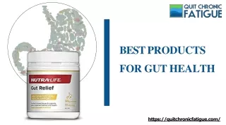 Best products for Gut Health and Weight Loss | Quit Chronic Fatigue