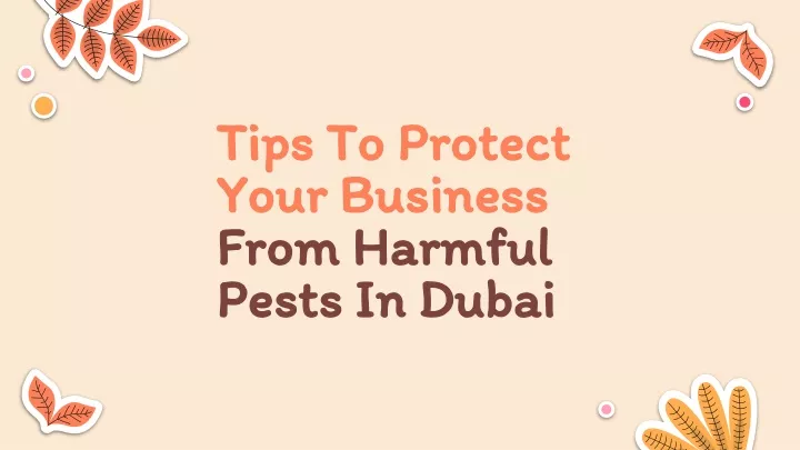 tips to protect your business from harmful pests in dubai