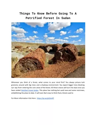 Things To Know Before Going Petrified Forest In Sudan.