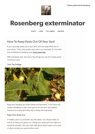 Rosenberg pest control