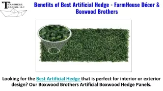 Products - Boxwood Balls - Farmhouse Décor - Boxwood Brothers