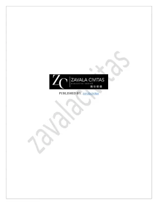 published by zavalacivitas