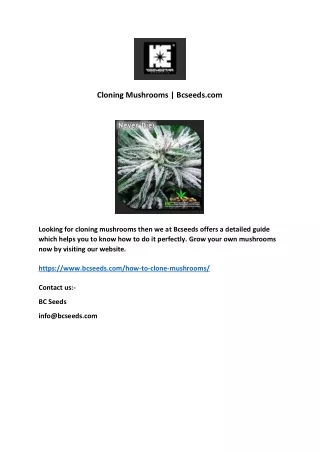 cloning mushrooms bcseeds com