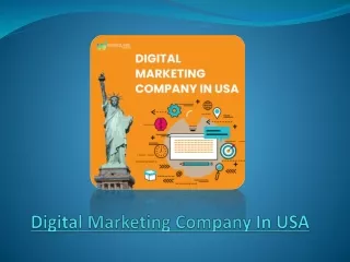 What Does A Digital Marketing Company In USA Do