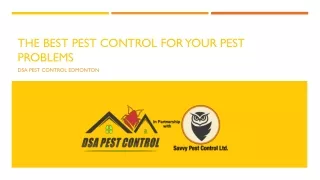 The Best Pest Control for Your Pest Problems, DSA Pest Control Edmonton