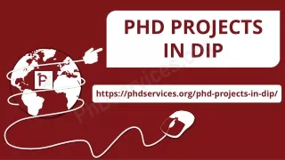 phd projects in dip