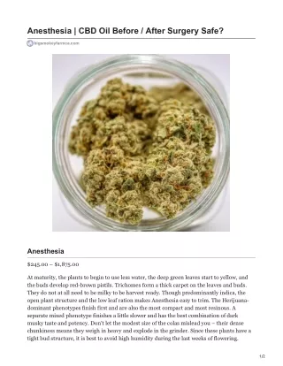 anesthesia cbd oil before after surgery safe