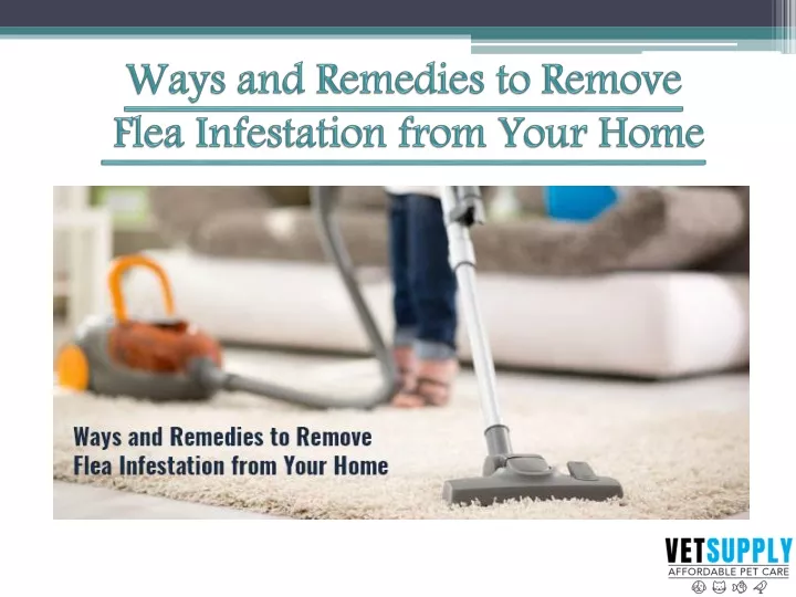 ways and remedies to remove flea infestation from