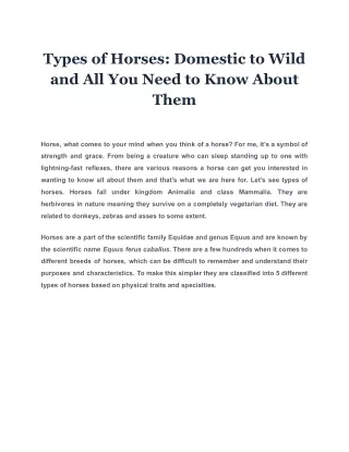 Types of Horses: Domestic to Wild and All You Need to Know About Them
