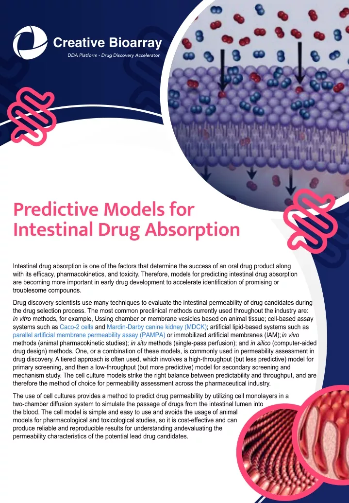 creative bioarray