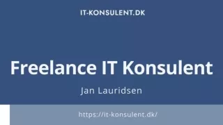 Den Bedste Freelance Softwareingeniør - INTERDESIGN ApS