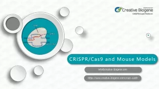 CRISPR-Cas9 and Mouse Models