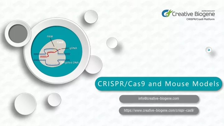 crispr cas9 and mouse models