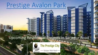 prestige avalon park