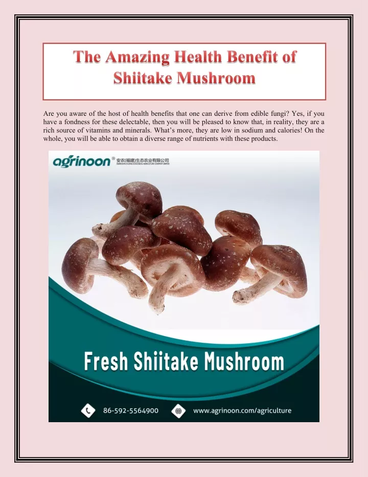 the amazing health benefit of shiitake mushroom