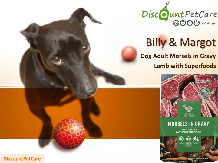 billy margot dog adult morsels in gravy lamb with superfoods
