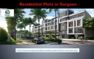 Residential Plots in Gurgaon - Ace Palm Floors
