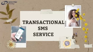 transactional sms service