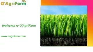 Find out the Market commodities at O'AgriFarm