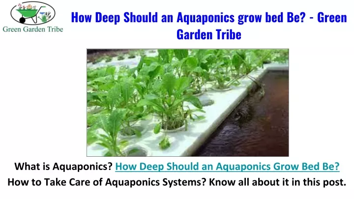 how deep should an aquaponics grow bed be green garden tribe