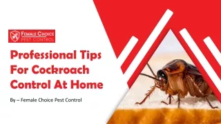 Professional Tips For Cockroach Control At Home | Female Choice Pest Control