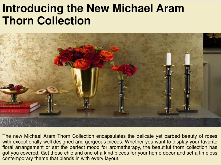 introducing the new michael aram thorn collection