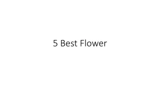 Best Flower Shops in Doha | Online Same Day Delivery in Qatar