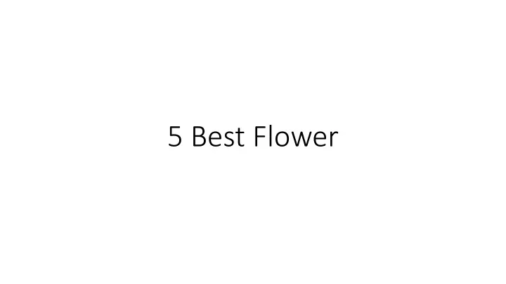 5 best flower