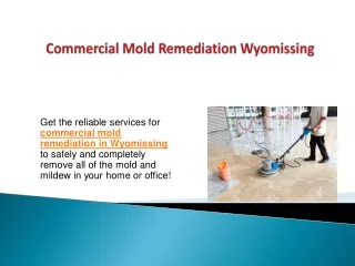 Commercial Mold Remediation Wyomissing