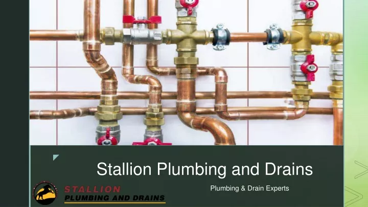 plumbing drain experts
