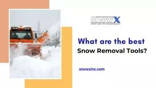 What are the best Snow Removal Tools