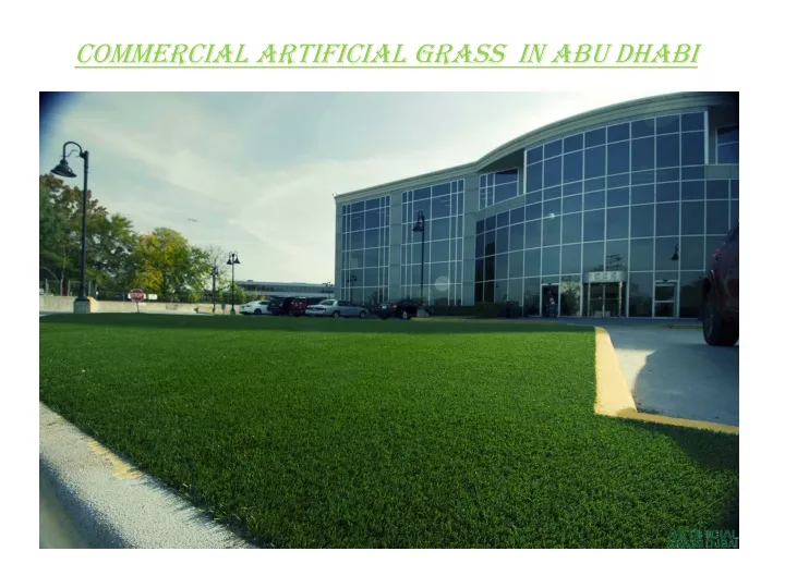 commercial artificial grass in abu dhabi