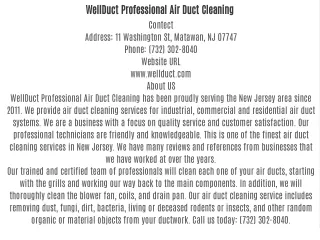 WellDuct Professional Air Duct Cleaning