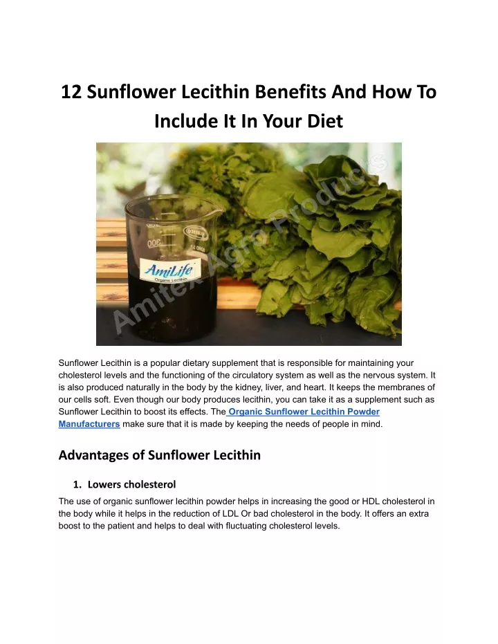 12 sunflower lecithin benefits and how to include