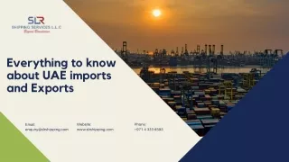 Everything to know about UAE imports and Exports