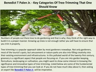 benedict t palen jr key categories of tree trimming that one should know